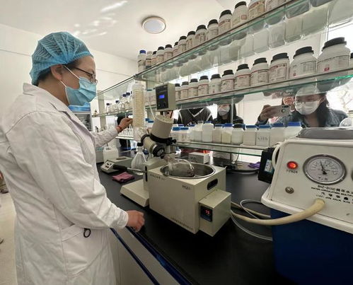 寧夏化妝品風(fēng)靡俄羅斯市場，新型汽輪機(jī)研發(fā)與銷售齊頭并進(jìn)